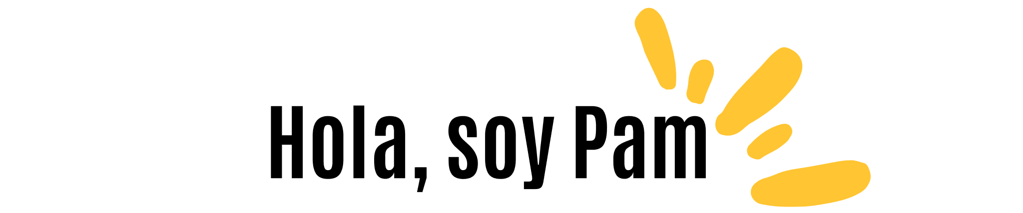 Banner hola soy pam